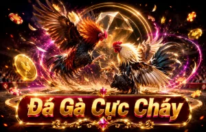 Giao diện sảnh Đá Gà DAGA trên dragonsreturned.com